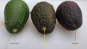 Comparativa de aguacate inmaduro, maduro y pasado